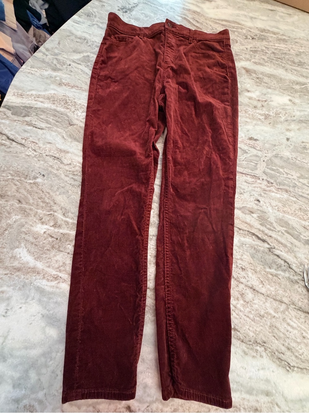 LOFT Burgundy Velvet Skinny Pants Women’s 10P 30 Petite
